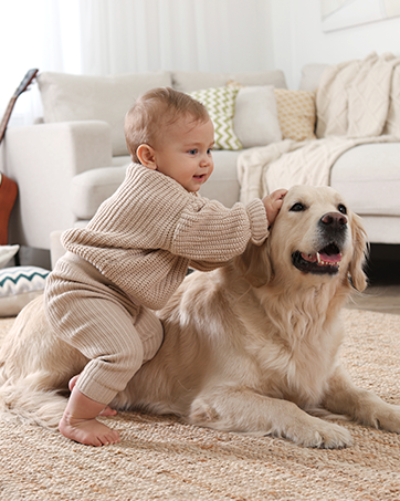 Trutrim Rug